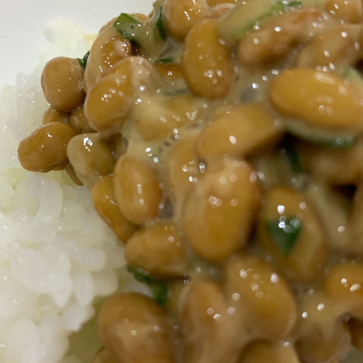 絶品!ごま油めんつゆ納豆ごはん